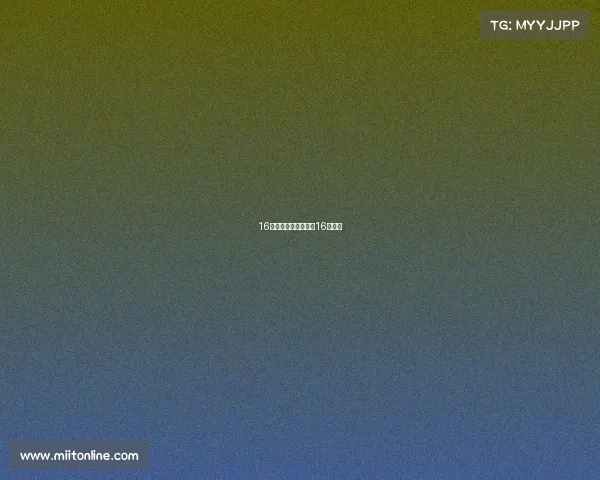 16届男篮世锦赛赛事、16年男篮